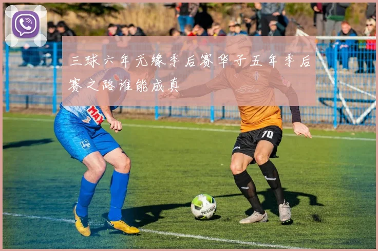 三球六年无缘季后赛华子五年季后赛之路谁能成真